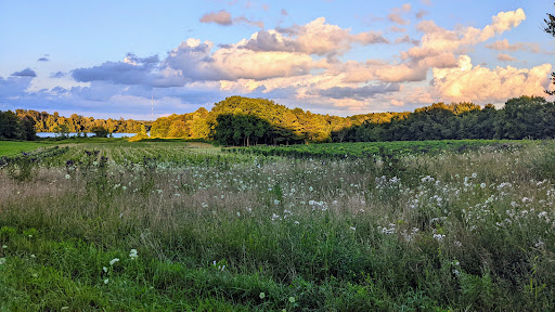 Vineyard «The Winery at Wolf Creek», reviews and photos, 2637 S Cleveland Massillon Rd, Barberton, OH 44203, USA