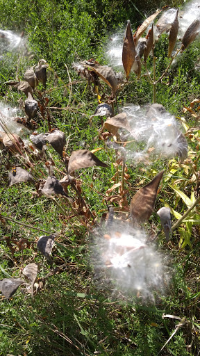 Winery «Alexis Bailly Vineyard», reviews and photos, 18200 Kirby Ave S, Hastings, MN 55033, USA