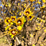 Photo n°4 de l'avis de Chris.a fait le 06/01/2020 à 17:10 sur le  Le Scuderie Della Tesoriera à Turin