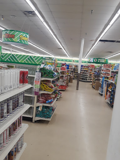 Dollar Store «Dollar Tree», reviews and photos, 2305 Colorado Blvd, Denton, TX 76205, USA