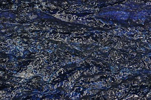 Hungerart Gallery - photo 38
