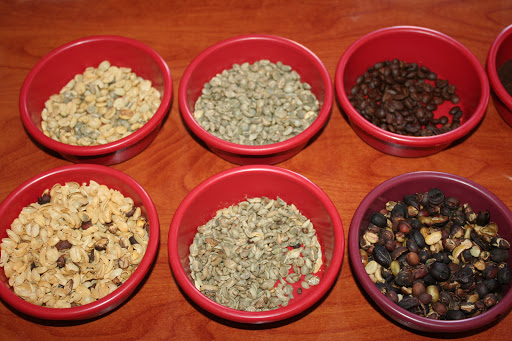 Tea Store «Condaxis Coffee and Tea Company», reviews and photos, 1805 W Beaver St, Jacksonville, FL 32209, USA