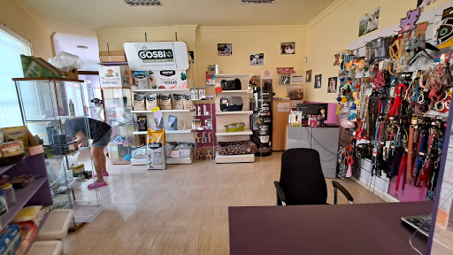 Decomascotas - San Cristóbal de La Laguna