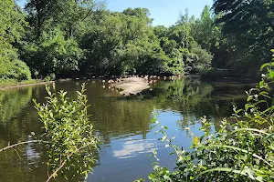 Bronx River Forest image