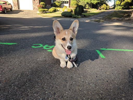 Golf Club «Twin Lakes Golf and Country Club», reviews and photos, 3583 SW 320th St, Federal Way, WA 98023, USA