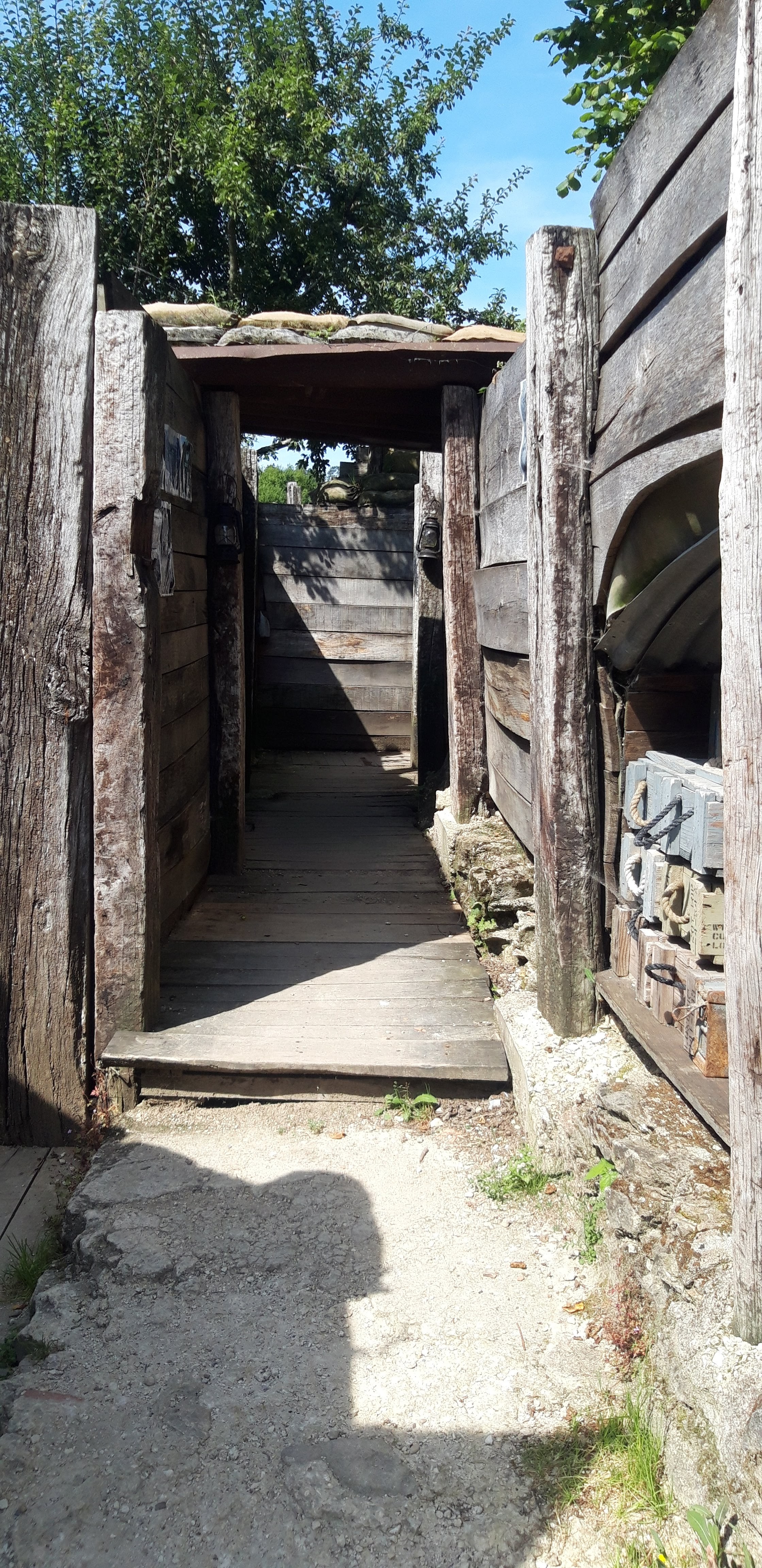 Photo n° 2 de l'avis de Manon. fait le 13/08/2021 à 06:25