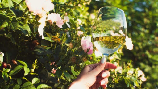 Liquor Store «Bauer Wine & Spirits», reviews and photos, 330 Newbury St, Boston, MA 02115, USA