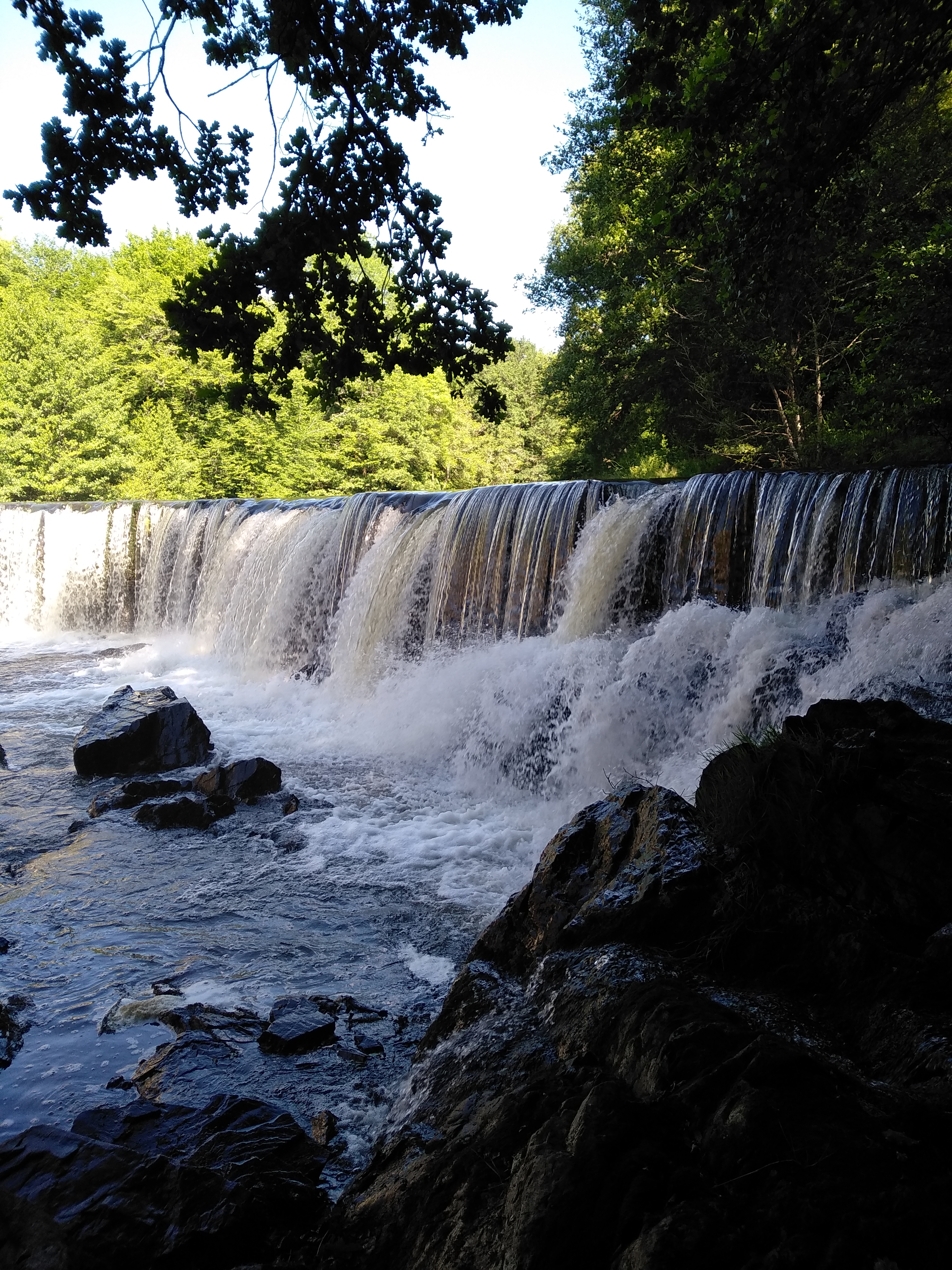 Photo n° 3 de l'avis de melody. fait le 28/05/2022 à 16:20