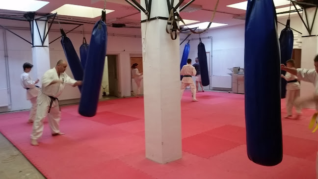 Értékelések erről a helyről: Magyar Shinkyokushin Karate Szervezet Kálóczi Branch, Siófok - Szórakozóhely