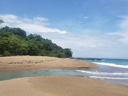 Foto van Cocalito Beach wilde omgeving