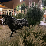 Photo n°2 de l'avis de adventures.n fait le 03/09/2023 à 11:50 sur le  La Pampa à Rome