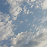 Photo n°12 de l'avis de Norma.o fait le 01/08/2019 à 15:23 sur le  Da Demetrio à Mezzocorona