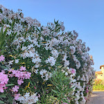 Photo n°8 de l'avis de Emanuele.a fait le 01/07/2023 à 21:39 sur le  Garden Toscana Resort à San Vincenzo