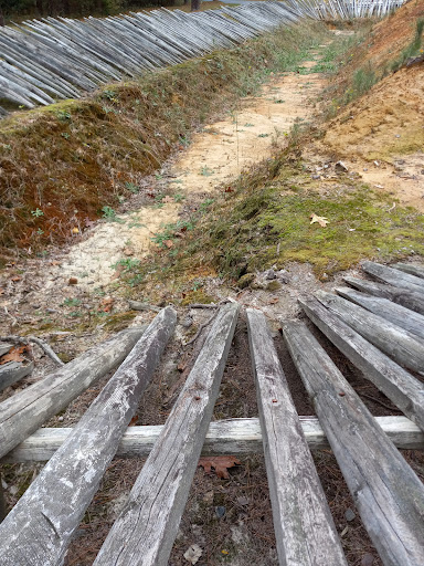 National Park «Petersburg National Battlefield Park Trailhead», reviews and photos, 5001 Siege Rd, Petersburg, VA 23804, USA