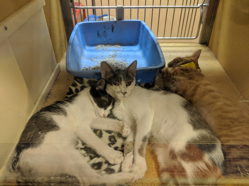 Pet Supply Store «PetSmart», reviews and photos, 1196 W Olive Ave, Merced, CA 95348, USA