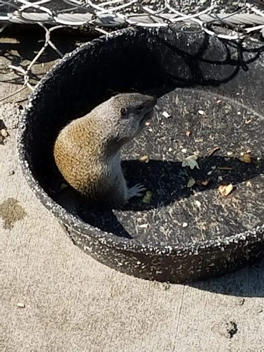 Zoo «Lied Jungle», reviews and photos, 916 D St, Omaha, NE 68107, USA