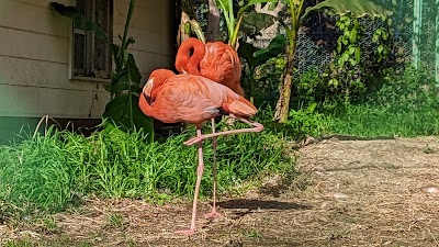 池田動物園動物病院
