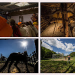 Photo n°1 de l'avis de Mauro.g fait le 17/05/2017 à 05:00 sur le  Antiquitates Centro di Archeologia Sperimentale à Civitella Cesi