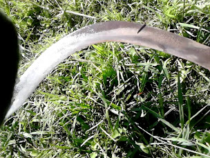 Photo n°26 de Auberge la Ferme du Brusquand à Marquay ()