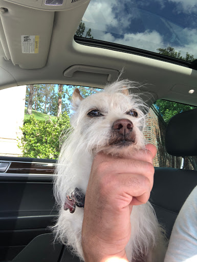 Rancho Regional Veterinary Hospital image