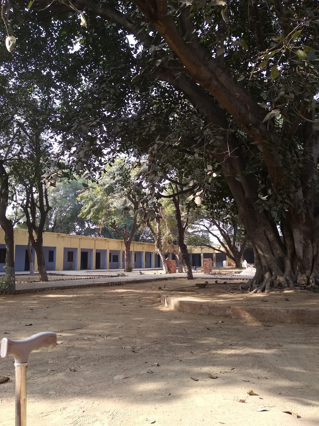 Govt high school