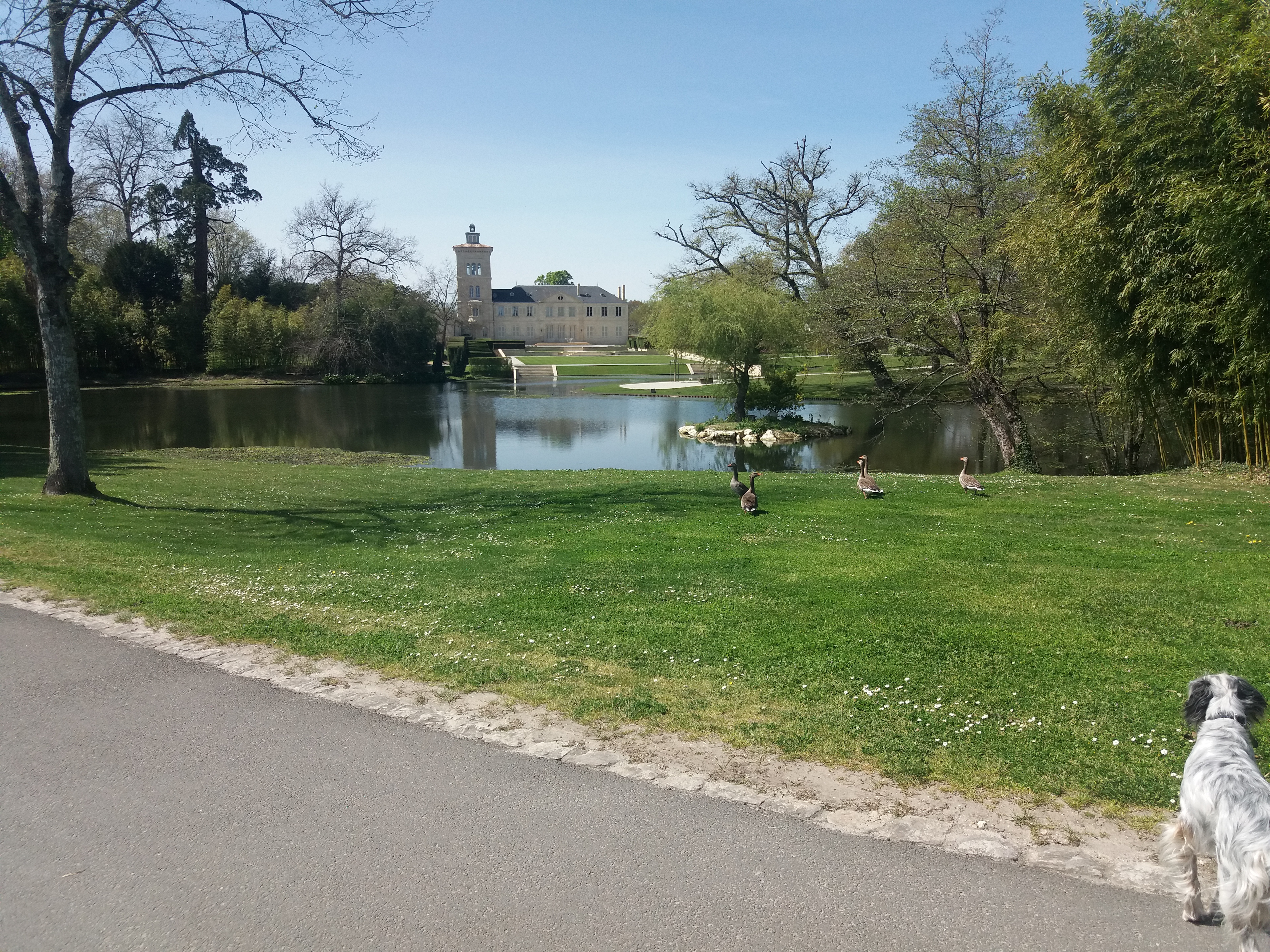 Photo n° 1 de l'avis de Didier.e fait le 13/04/2023 à 15:39