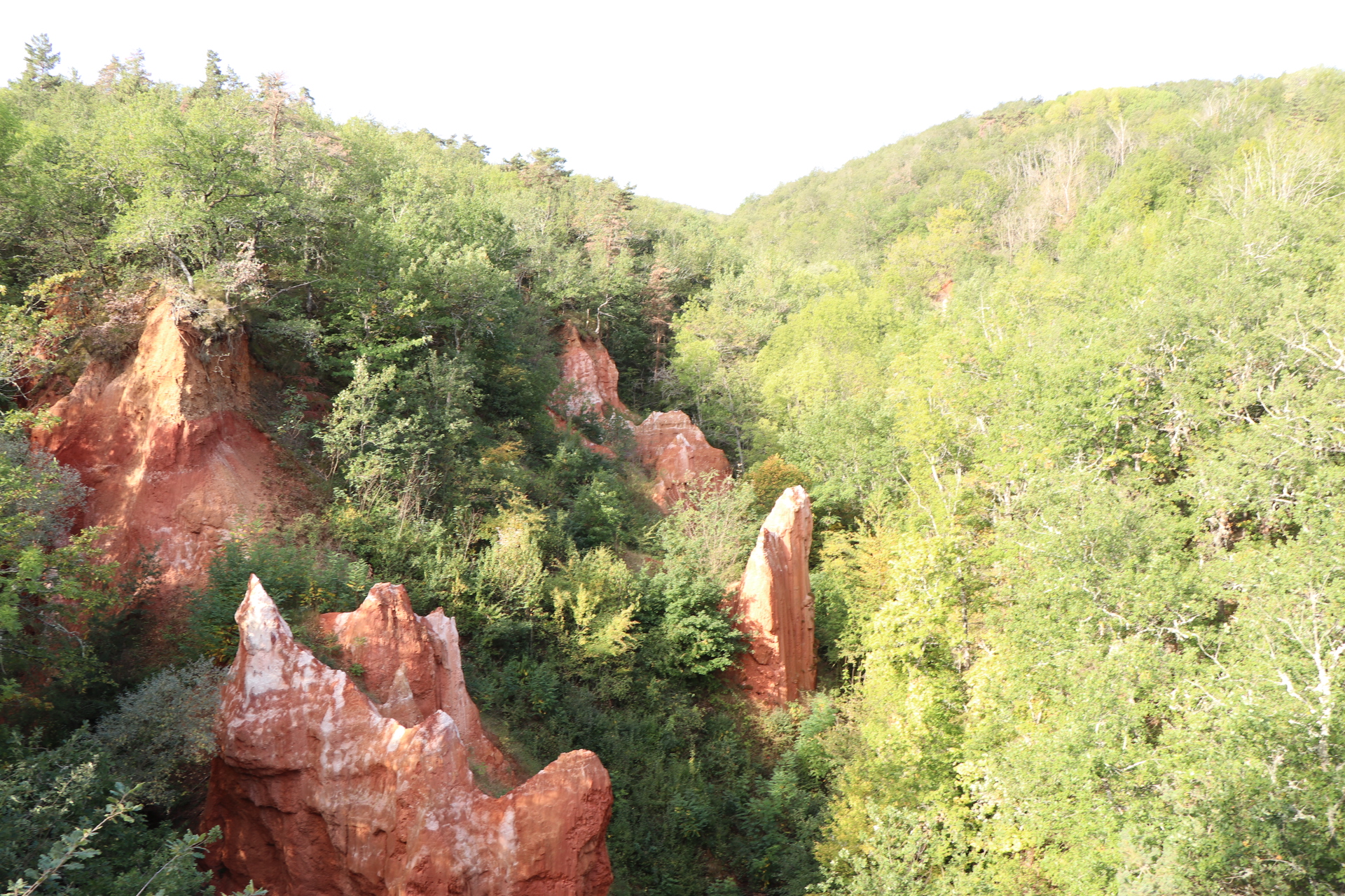 Photo n° 18 de l'avis de m.. fait le 18/09/2019 à 13:54