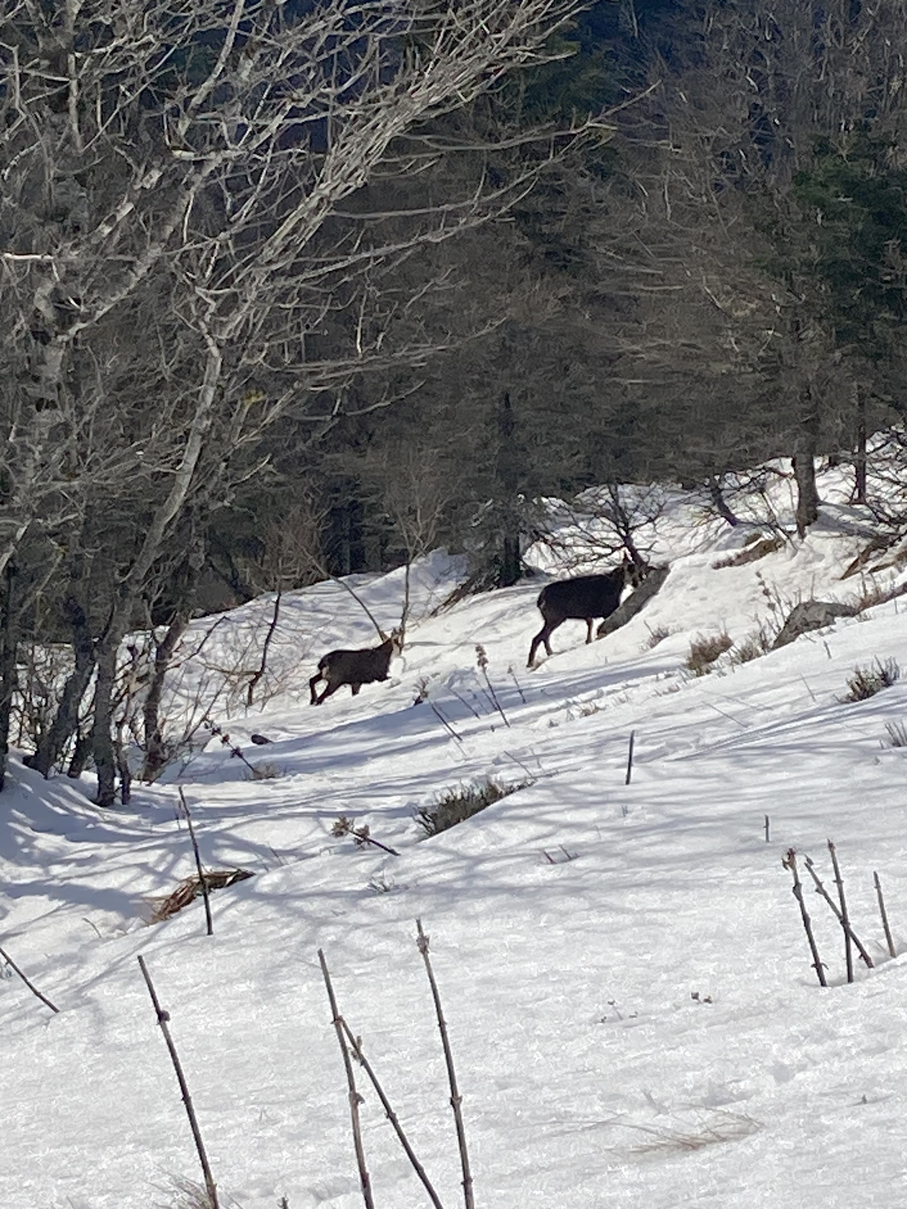 Photo n° 4 de l'avis de mathieu.e fait le 24/02/2023 à 17:09