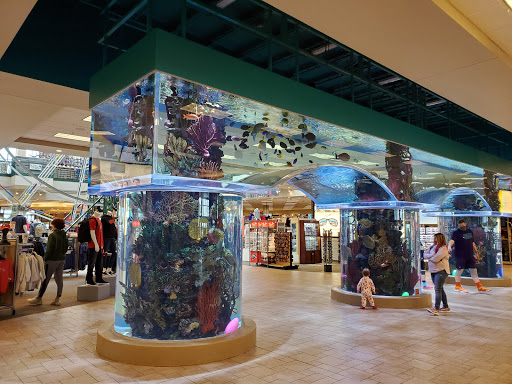 Sporting Goods Store «SCHEELS», reviews and photos, 11282 State St, Sandy, UT 84070, USA