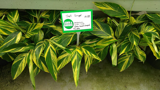 Hardware Store «Hagan Ace Hardware», reviews and photos, 6567 US-90, Glen St Mary, FL 32040, USA