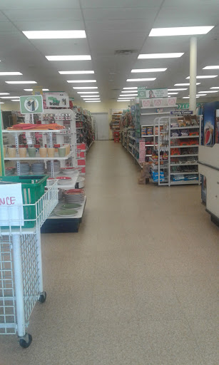 Dollar Store «Dollar Tree», reviews and photos, 101 S Coit Rd #80, Richardson, TX 75080, USA