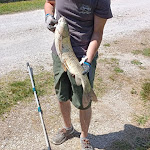 Photo n°3 de l'avis de francesco.o fait le 21/08/2023 à 17:02 sur le  Ristorante Pizzeria Lago Argentato à Castel Sant'Angelo