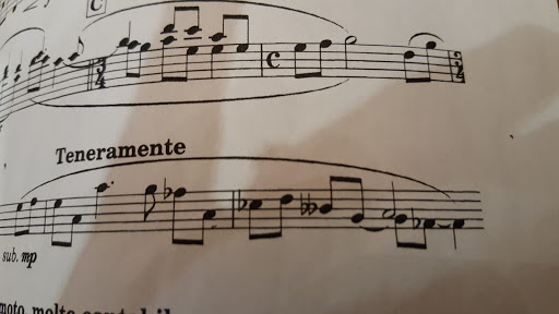 Performing Arts Theater «Chelmsford Center for the Arts», reviews and photos, 1A North Rd, Chelmsford, MA 01824, USA