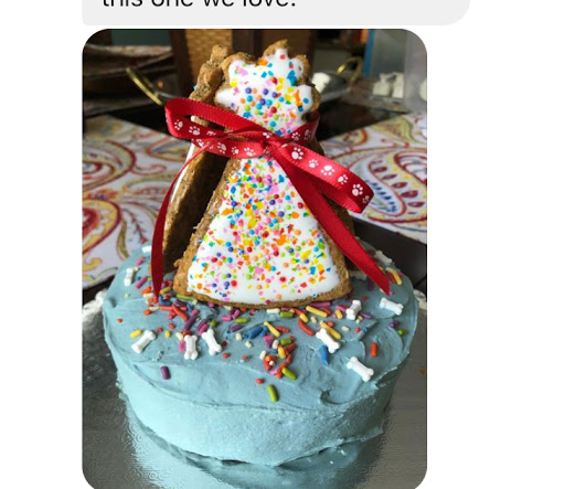 Pet Supply Store «Lazy Creek Discount Pet Food & Supplies», reviews and photos, 351 E Church St, Leesville, SC 29070, USA