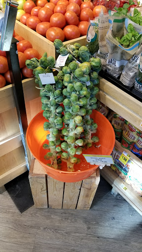 Grocery Store «Ingles Market», reviews and photos, 220 N Highland Lake Rd, Flat Rock, NC 28731, USA