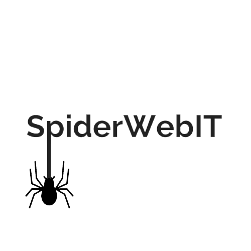 Comments and reviews of SpiderWebIT