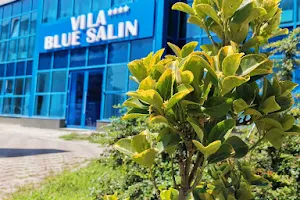 Vila Blue Salin image