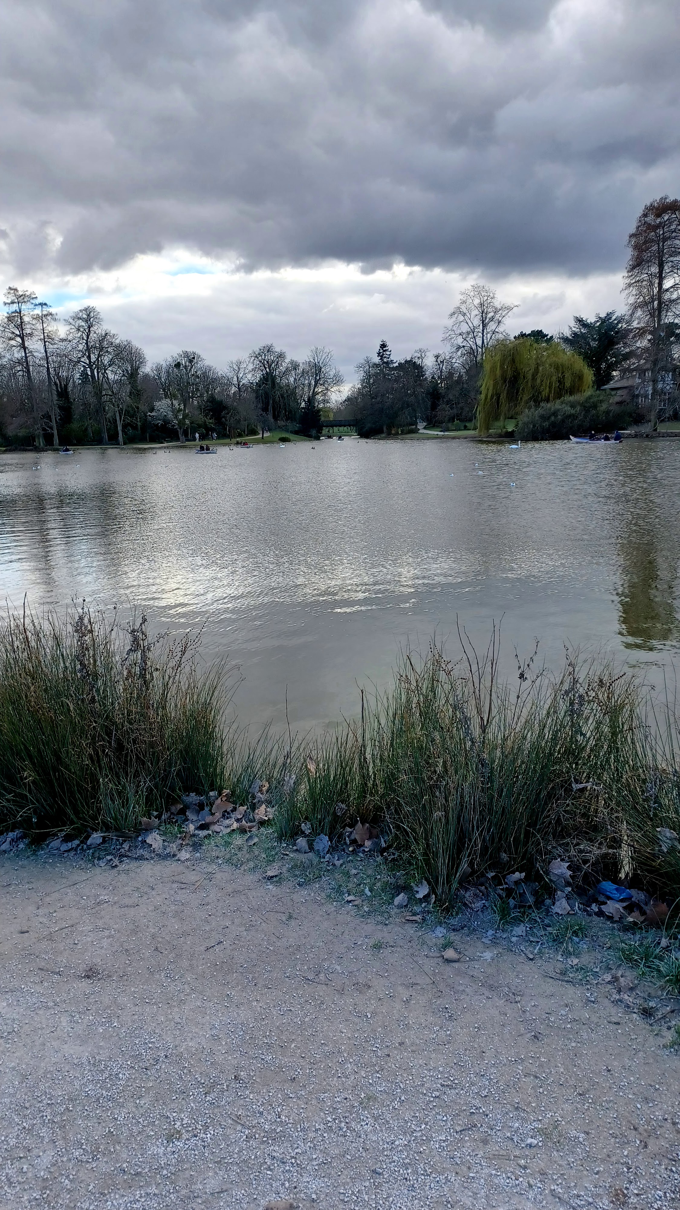 Photo n° 4 de l'avis de Ninette. fait le 07/03/2023 à 10:37