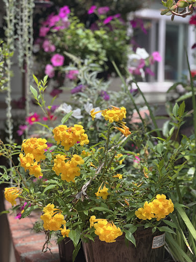 Home Improvement Store «The Home Depot», reviews and photos, 27401 La Paz Rd, Laguna Niguel, CA 92677, USA