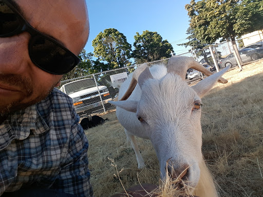 Farm «The Belmont Goats», reviews and photos, 9330 SE Harold St, Portland, OR 97266, USA