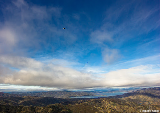 Nature Preserve «UC Davis - Stebbins Cold Canyon Natural Reserve», reviews and photos, CA-128, Winters, CA 95694, USA