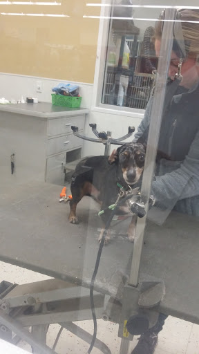 Pet Supply Store «Petco Animal Supplies», reviews and photos, 6020 Crawfordsville Rd, Speedway, IN 46224, USA