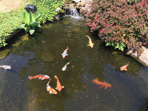 Florist «Country Gardens», reviews and photos, 157 Central St, Rowley, MA 01969, USA