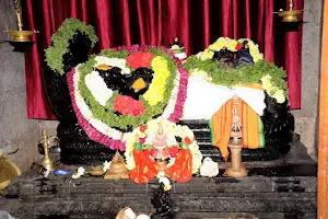 Sri Govindaraja Swamy Temple image