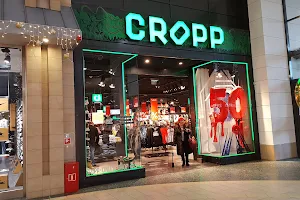CROPP image