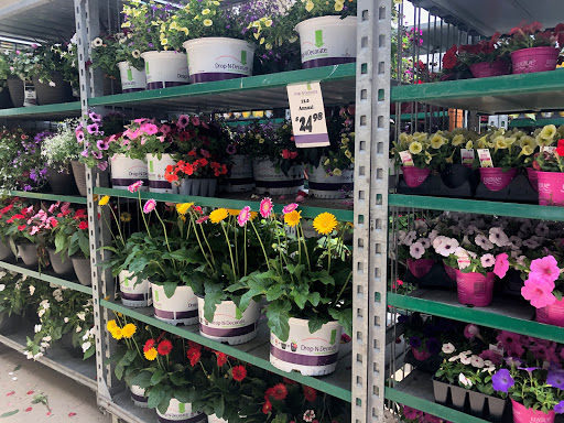 Home Improvement Store «The Home Depot», reviews and photos, 100 Barrington Rd, Schaumburg, IL 60194, USA