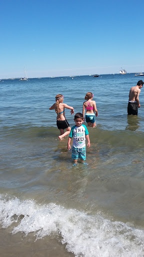 Garden «Lynch Park Rose Garden», reviews and photos, Lynch Park, Beverly, MA 01915, USA