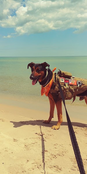 Kohler-Andrae State Park - photo 24