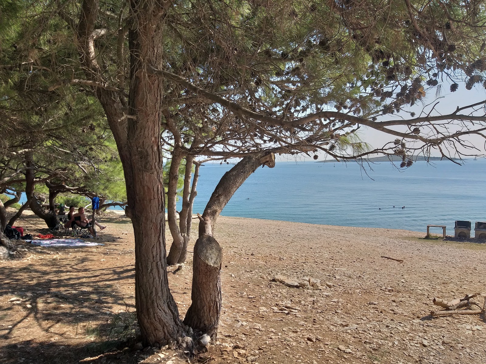 Fotografie cu Drazice beach cu nivelul de curățenie înalt