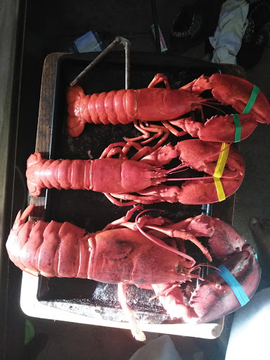 Supermarket «Seabra Foods», reviews and photos, 440 Stafford Rd, Fall River, MA 02721, USA